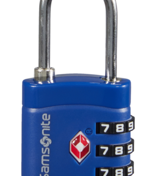 SAMSONITE –GLOBAL TA