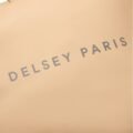 163262017_4-backpack-delsey