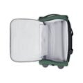 343021003_2-travel-bag-trolley-delsey