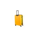 cat-suitcase-83688-2-medium-2