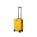 cat-suitcase-83688-217-1