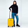 cat-suitcase-83688-217-6